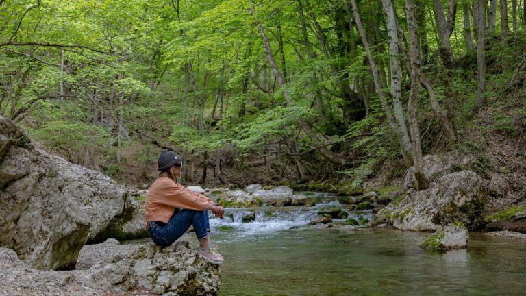 A woman sits by a peaceful forest stream, enjoying nature's tranquility.