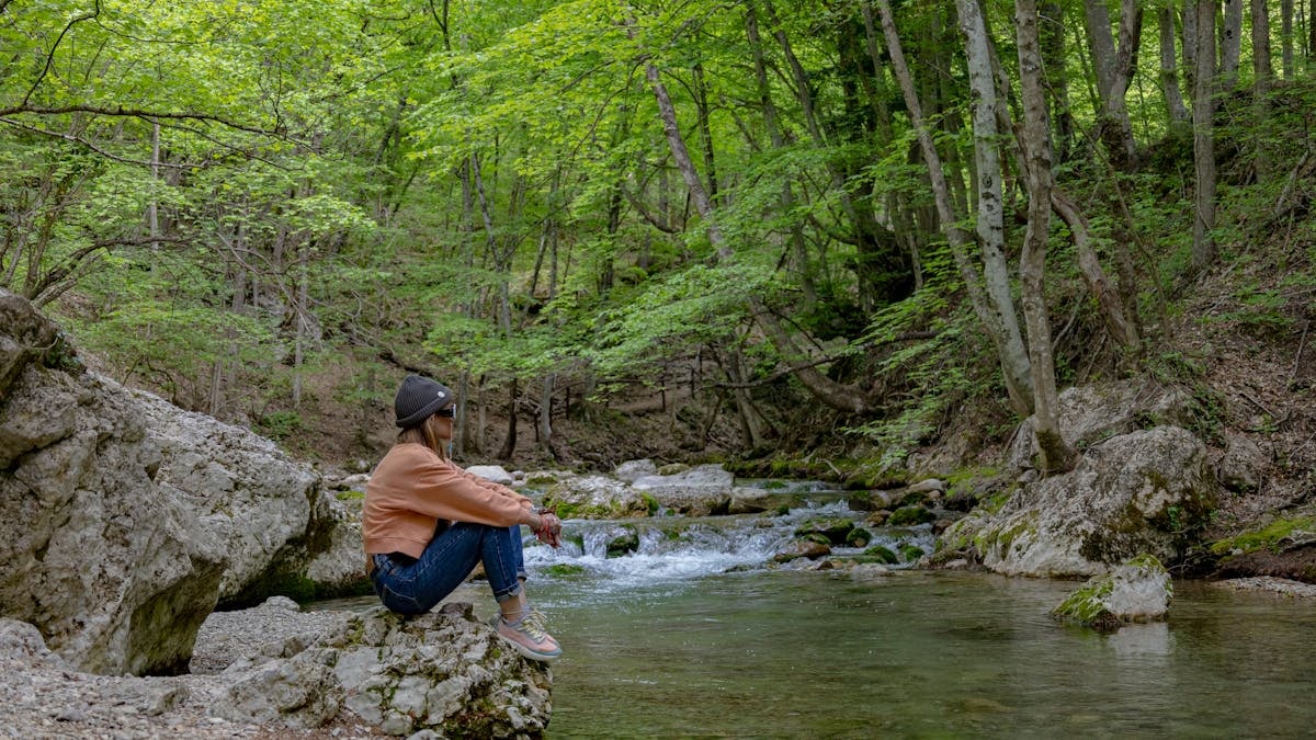 A woman sits by a peaceful forest stream, enjoying nature's tranquility.
